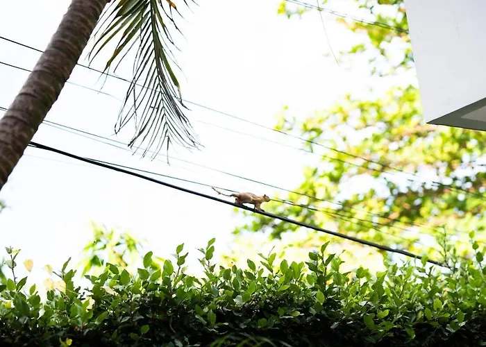 Sassy - Stunning Private Award Winning Oasis * Seminyak